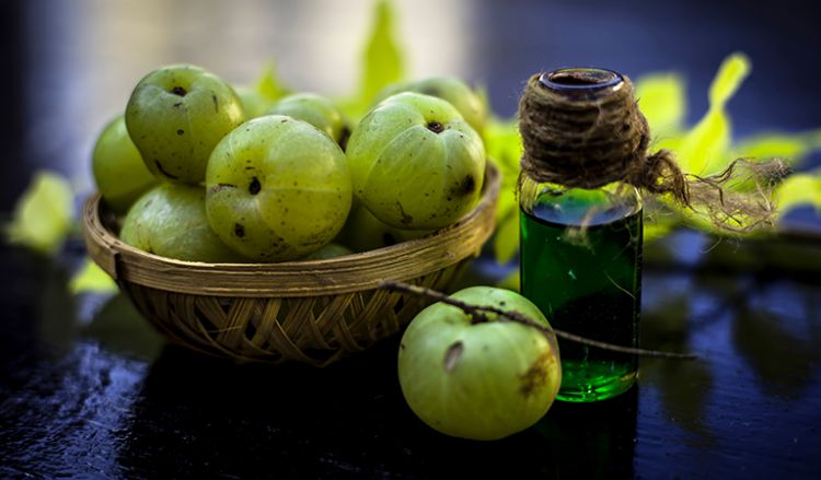 Health benefits of amla: Rich in vitamin C, nutrients and antioxidants, you  need this superfood in winter